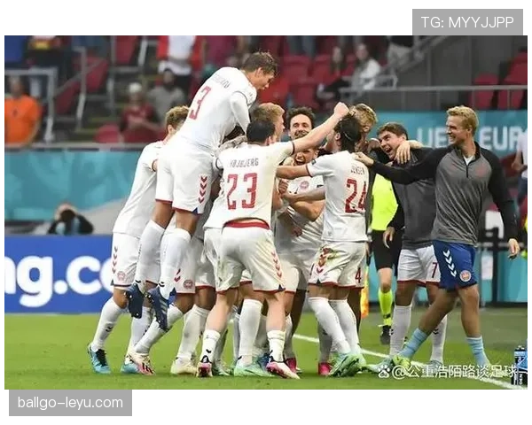 塞尔维亚雄鹰军团欧洲杯晋级之路展现强劲实力，新征程备受瞩目