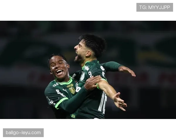 恩德里克传球视野 恩德里克传球视野